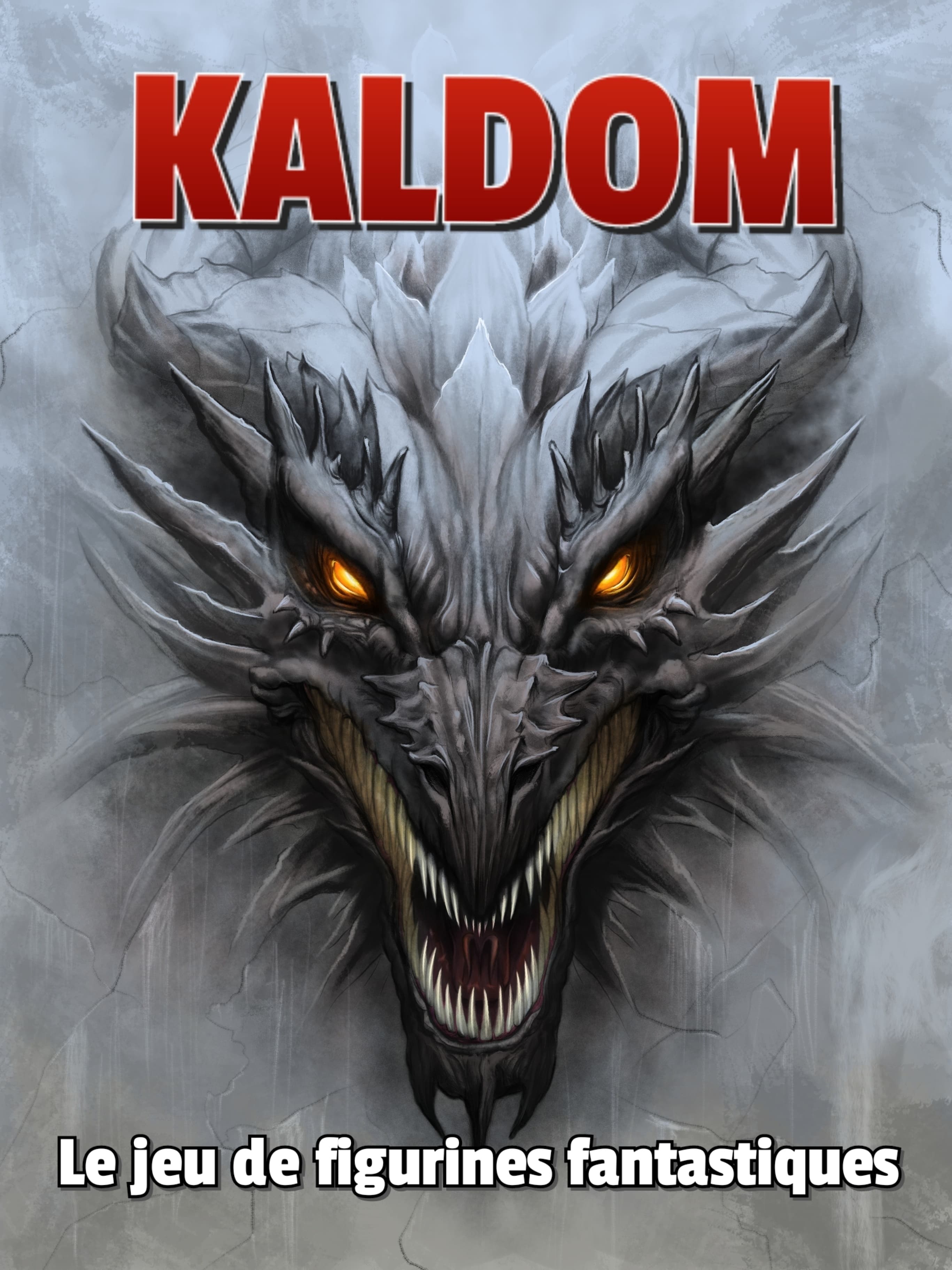 Couverture de l'article : KALDOM, le jeu de figurines fantastiques