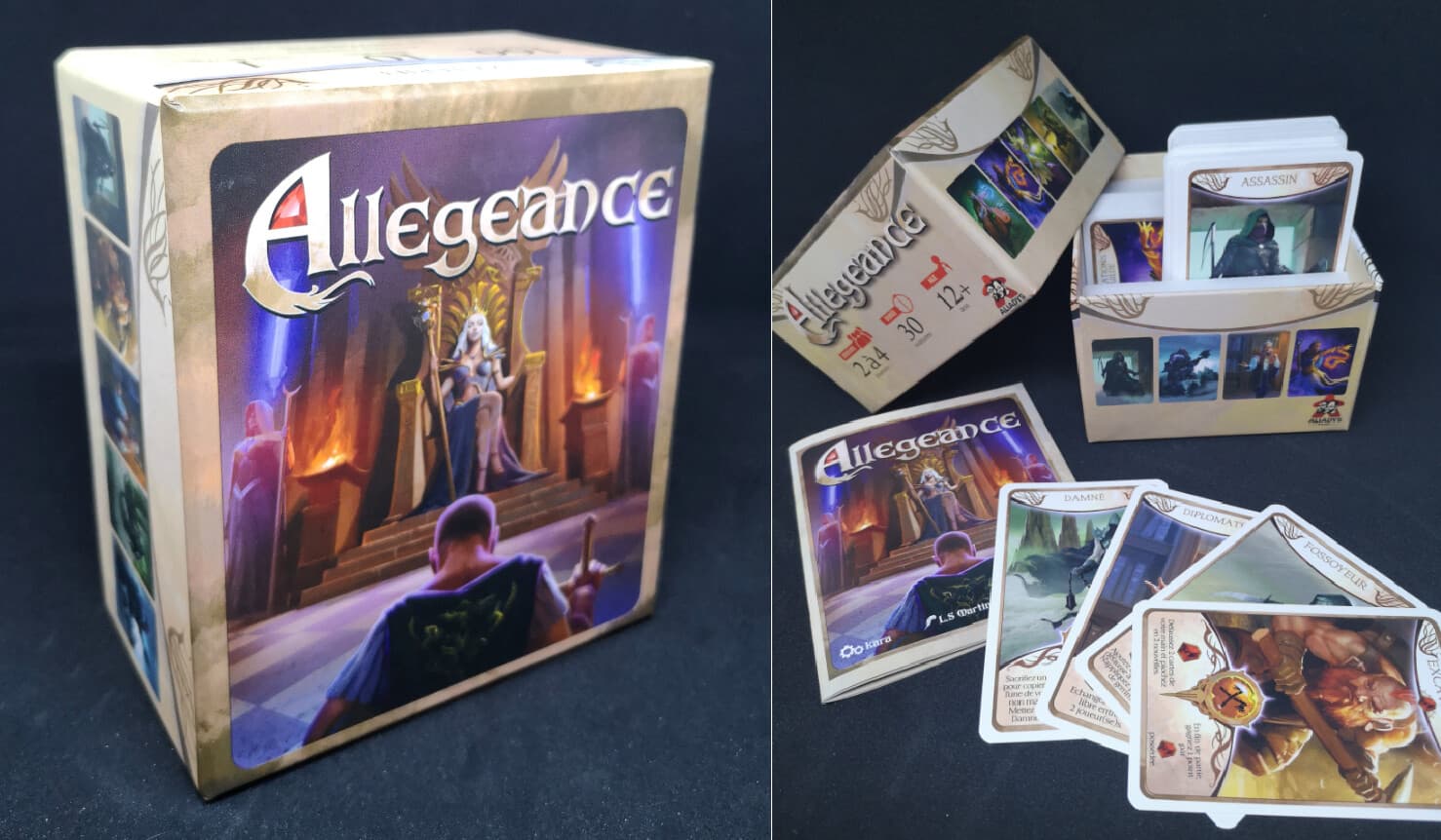 Couverture de l'article : SORTIE IMMINENTE DE ALLÉGEANCE / Kara, Miguel Coimbra, L.S. Martins
