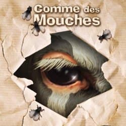 Couverture de l'article : Des Mouches au printemps !