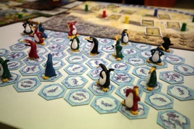 Couverture de l'article : Les plus beaux pingouins du monde