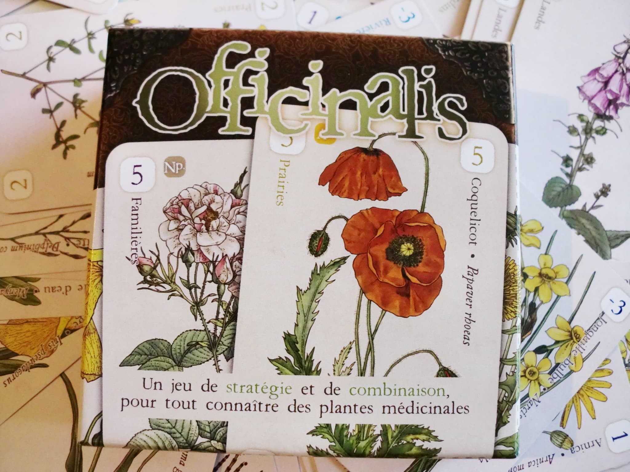Découverte ludique d’Officinalis
