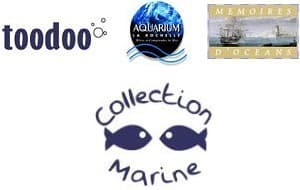 Couverture de l'article : Toodoo à l'aquarium !