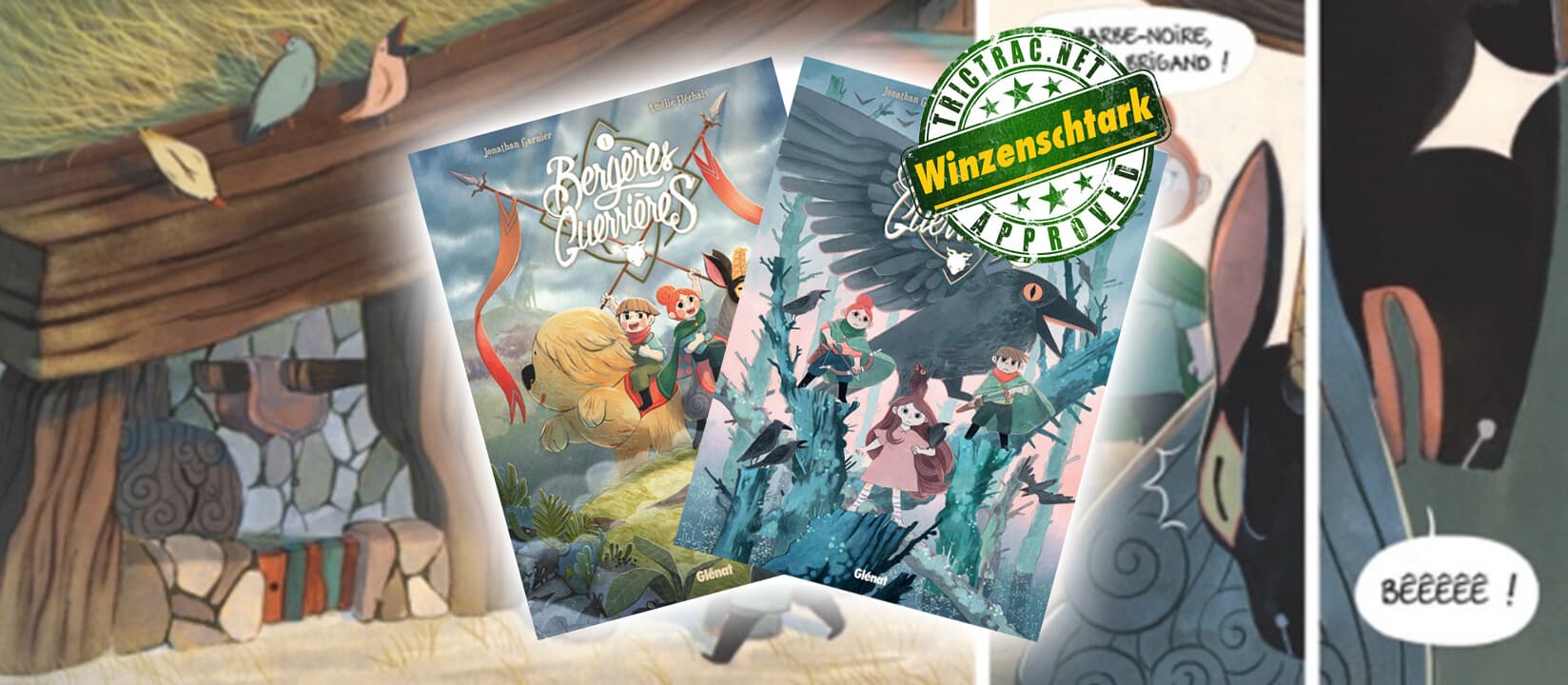 Couverture de l'article : Bergères Guerrières : l'aventure à coups de bélier