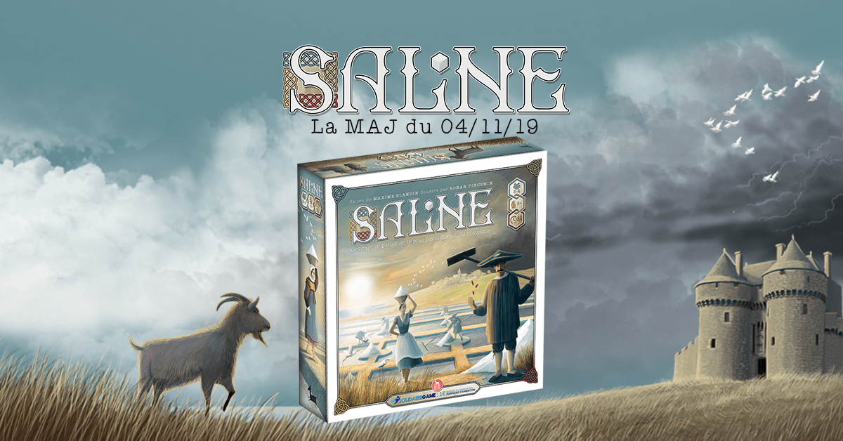 Couverture de l'article : SALiNE mise à jour du 04/11/19