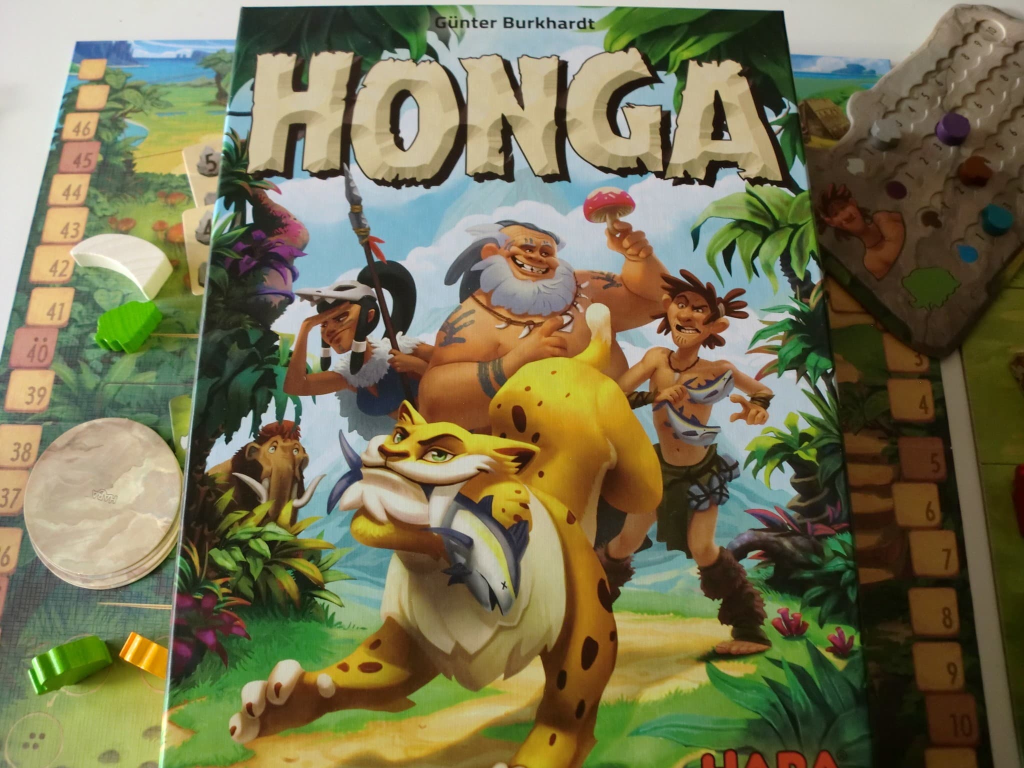 Couverture de l'article : Critique de Honga