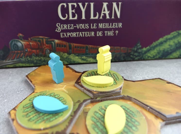 Couverture de l'article : Sur le Vif! Review de Ceylan : Ceylan c'est beau, Ceylan c'est dépaysant, Ceylan c'est excellent!