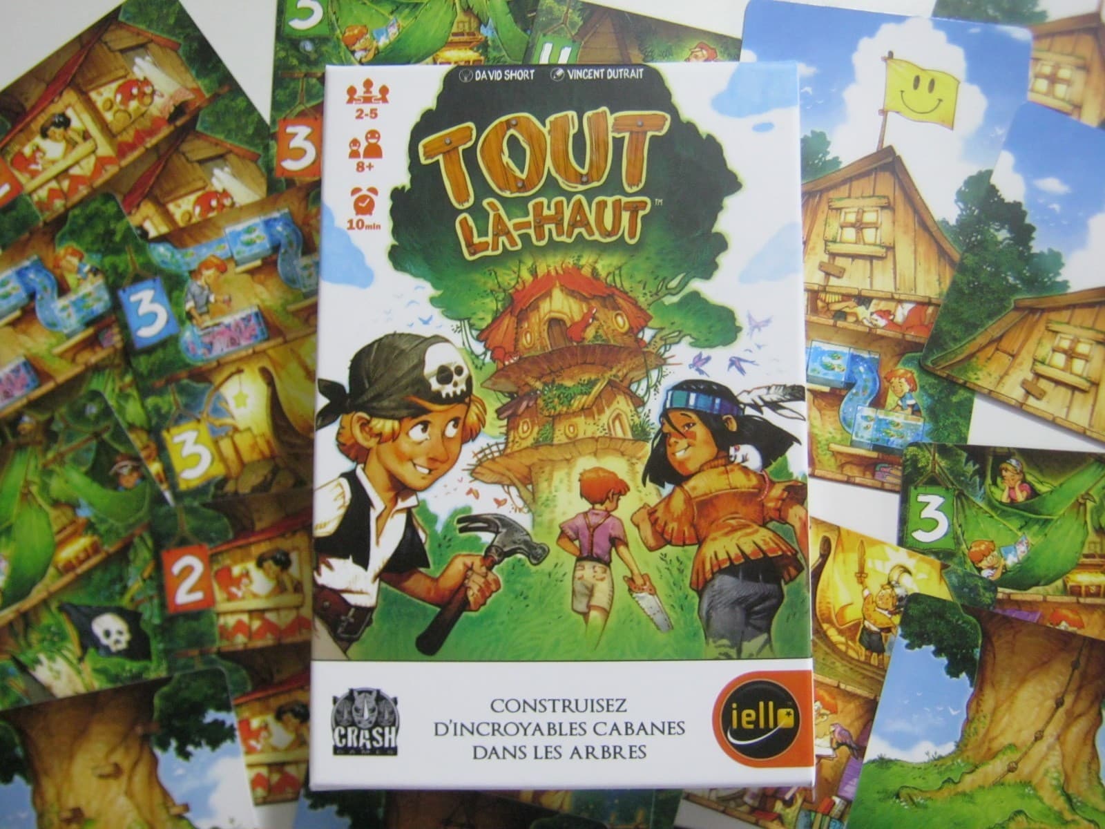 Couverture de l'article : Critique Tout là-haut