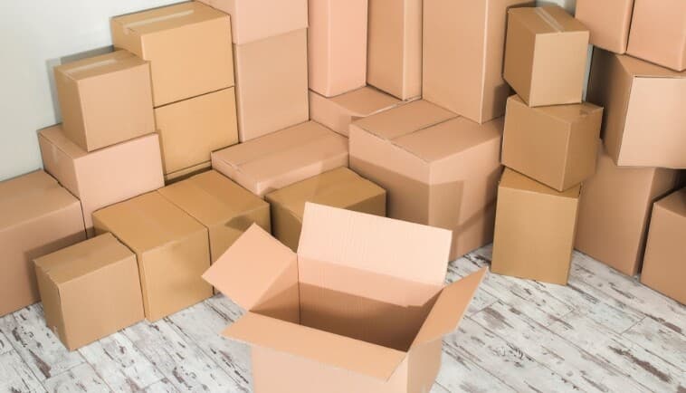 Couverture de l'article : Semaine du Pouic #116: Dans les cartons
