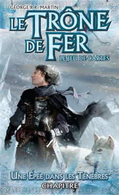 Couverture de l'article : L'Épée est dans les Ténèbres