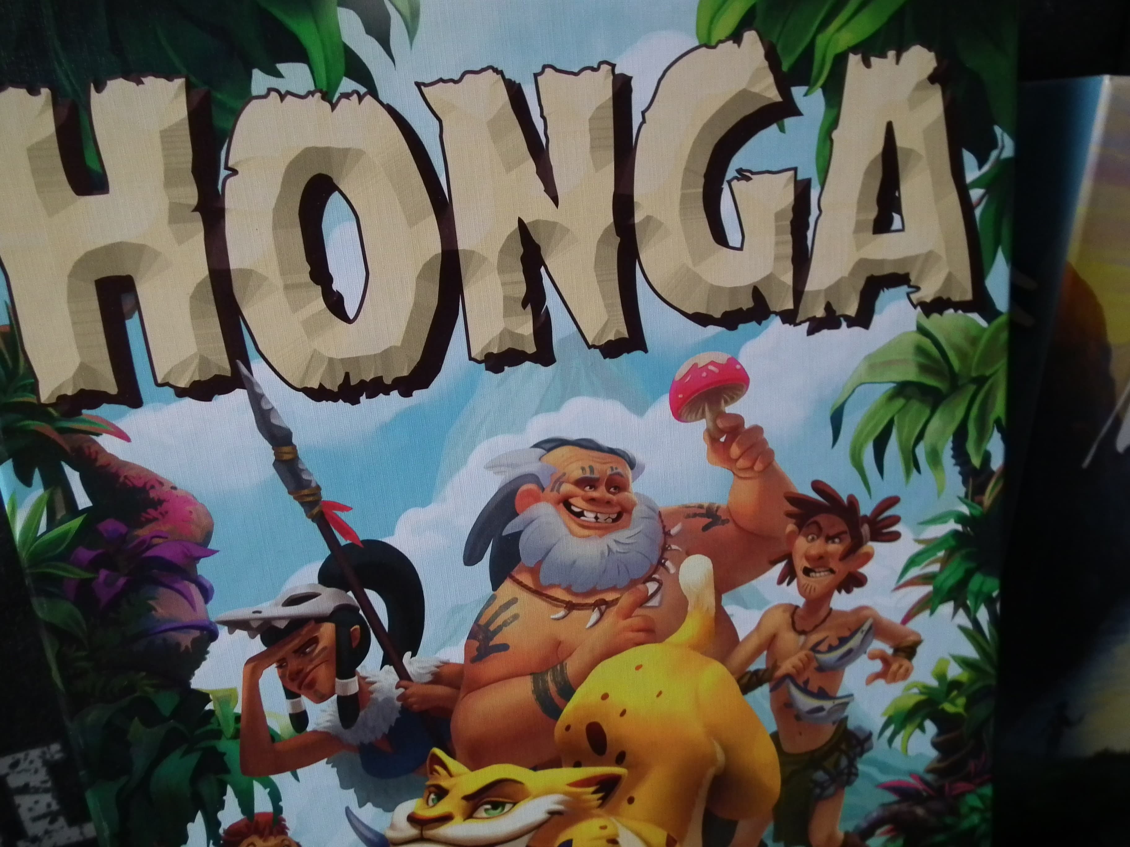 Couverture de l'article : Honga