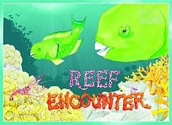 Reef Encounter