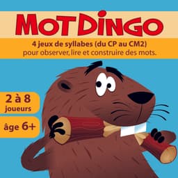 Couverture de Motdingo
