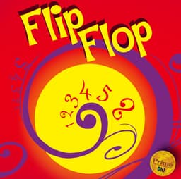 Flip Flop