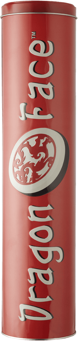 Couverture de Dragon Face