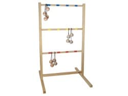 Spin Ladder