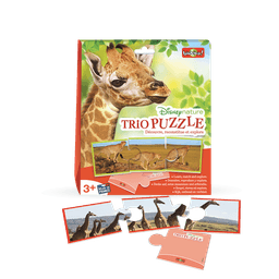 Couverture de Trio Puzzle
