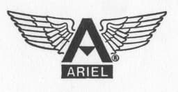 Portrait de : Ariel