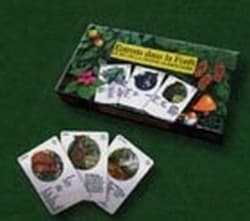 Boîte du jeu : Entrons dans la forêt