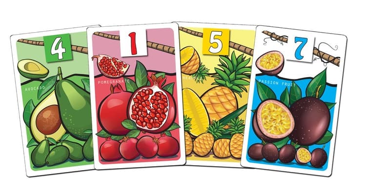 Boîte du jeu : Gyümi Géniusz