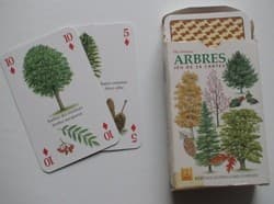 Boîte du jeu : Arbres