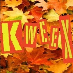 Boîte du jeu : Kweex