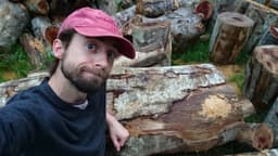 Portrait de : LE PICHON David