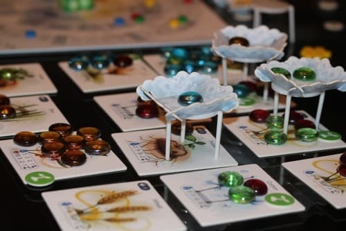 Boîte du jeu : Petrichor