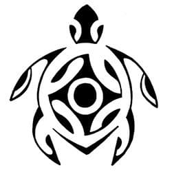 Wushu Tortue