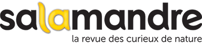 Logo de 