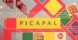 Couverture de Picapal