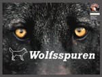 Wolfsspuren