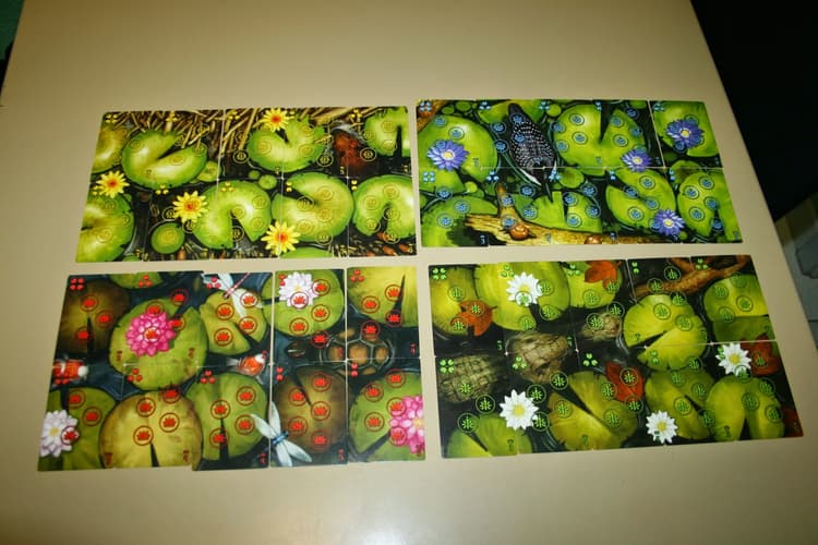 Boîte du jeu : Bullfrogs