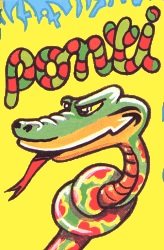 Boîte du jeu : Ponti