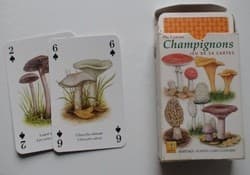 Boîte du jeu : Champignons