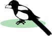 Logo de 