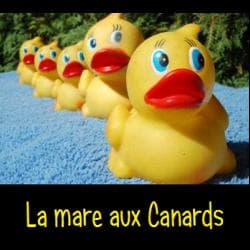 Boîte du jeu : La mare aux canards