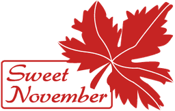 Portrait de : Sweet November