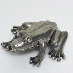 Silver Frog