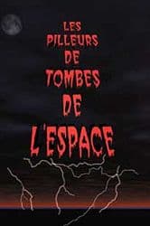 Les Pilleurs de Tombes de l'Espace