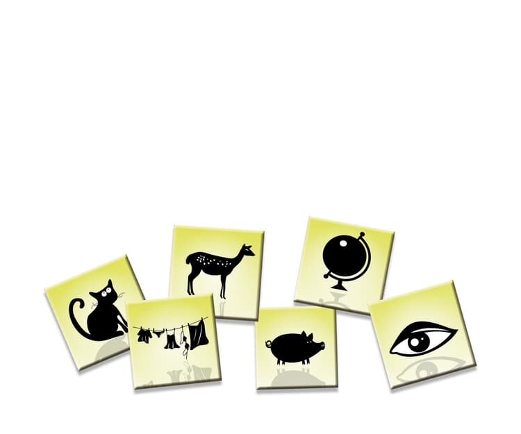 Boîte du jeu : Silhouette
