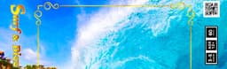 Couverture de Surf & Bizz