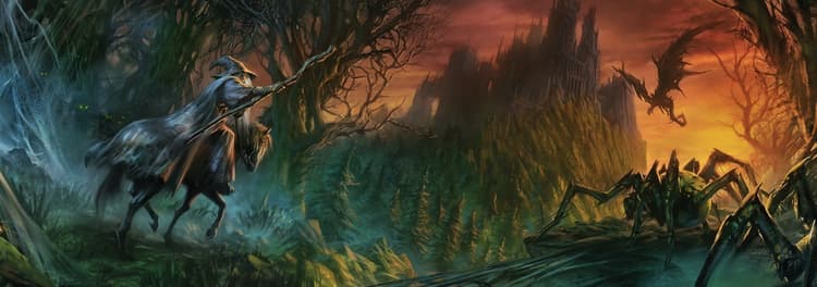 Boîte du jeu : Le Seigneur des Anneaux JCE