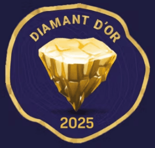 Couverture de l'article : Semaine du Pouic #51 : Diamant d'or et l'heure des bilans