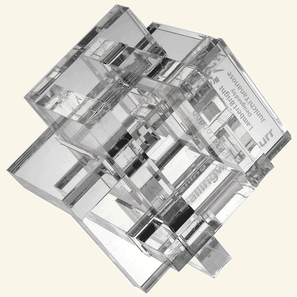 Boîte du jeu : Fallingwater Burr