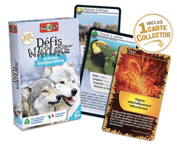 Couverture de Défis Nature - Animaux inséparables