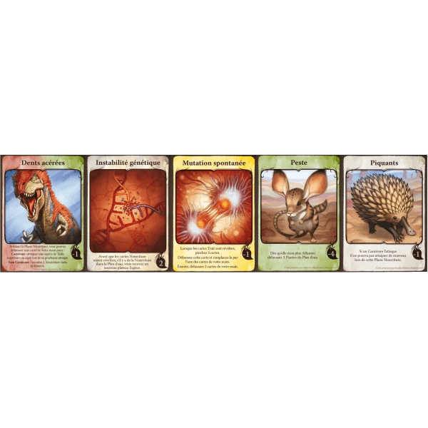 Boîte du jeu : Evolution : Cartes