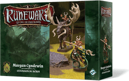 Couverture de Runewars - Maegan Cyndewin