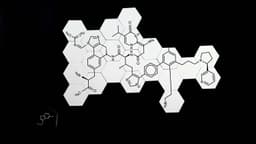 Couverture de Compound