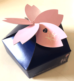 Couverture de Sakura