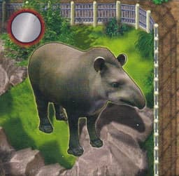 Couverture de Zooloretto - Extension "Tapir"